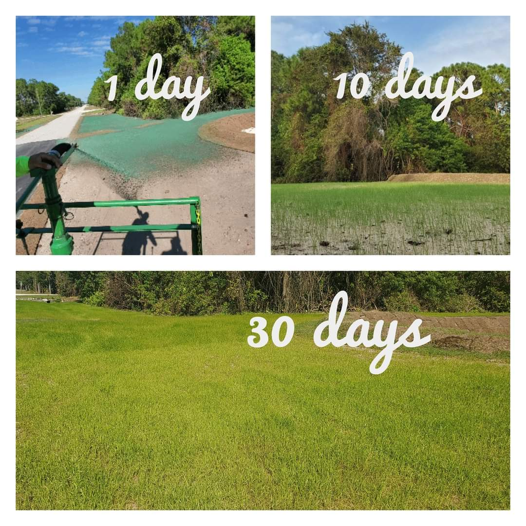 FB-IMG-1625578019467